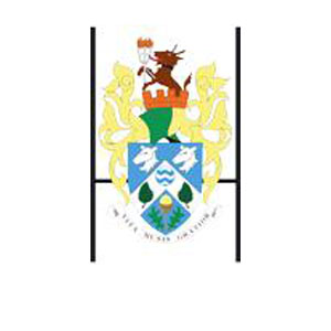 Haslemere Community Rugby Club